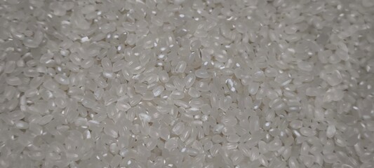 Close up of japanese rice. Japanese rice grains for background. Sushi Ingredients.