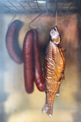 trout hanging on a hook in a smokehouse already smoked to golden brown. The fish is followed by sausages. Smoke passes around the fish in the smokehouse. ideal photo suitable for gastronomy