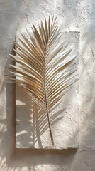 Subtle Palm Leaf Silhouette on Rustic Plaster Wall on Transparent Background

