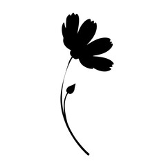 Minimalist black silhouette of cosmos flower on white background
