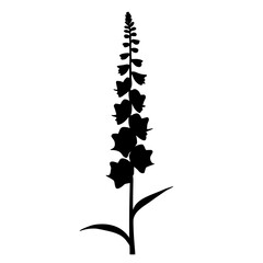 Minimalist black silhouette of foxglove flower on white background