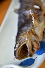 イワナ塩焼き（イメージ）