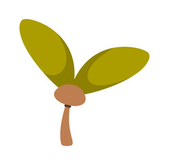 Maple helicopter tree seed design