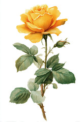 Obraz premium Tropical vector flower – hd yellow and mango tones, embroidery style on white.