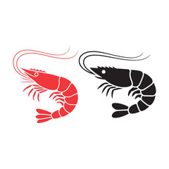 vector illustration of a shrimp