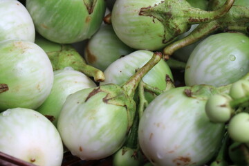 Thai eggplant in a fresh vegetable shop