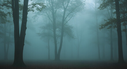 Obraz premium Serene Fog Over Dense Green Forest at Sunrise