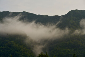 山の息吹、白き霧の川