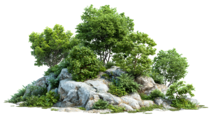 Green foliage on rocky outcrop with transparent background