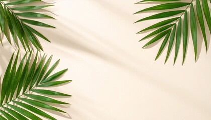 Fototapeta premium Tropical Palm Leaves on Beige Background