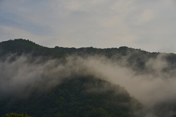 山の息吹、白き霧の川