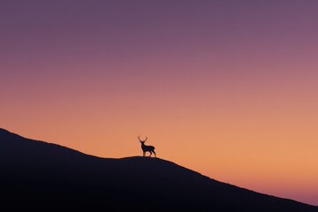 Majestic Deer Silhouette at Sunset.