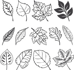 Hand Drawn Leaves Icon Set, Botanical Leaf Clipart Collection, Sketch Style Nature Elements, Doodle Leaf Illustrations, Rustic Floral Vector Design