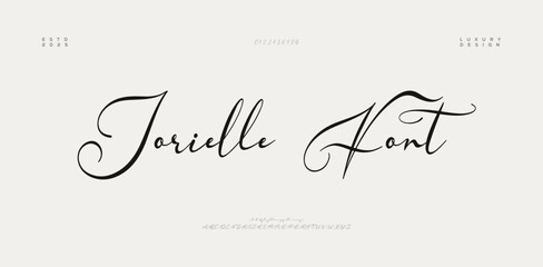 The Beautiful Luxury Signature Script Font. Handwritten Font Calligraphy Logotype Script elegant Type lettering Font. vector illustration 
