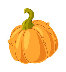 Pumpkin autumn vegetable design element