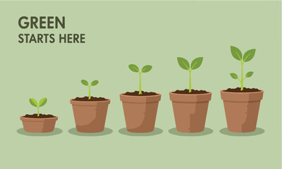 Flat Illustration Set Of Potted Seedlings With Growth Progression Suitable For Education And Climate Poster Flat Design Style