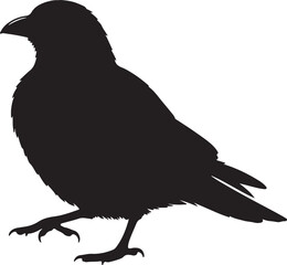 Nicator Solid Vector Silhouette