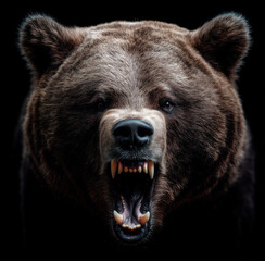 Intense close-up of a fierce grizzly bear baring sharp teeth in a threatening roar, isolated on black background. Generate by AI