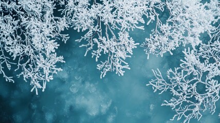 Obraz premium Enchanting Winterscape Delicate Frost Kissed Branches Adorned with Intricate Snowflake Crystals