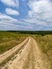 A dirt road in the middle of a grassy field