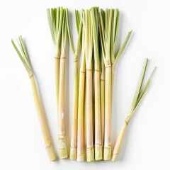 Fototapeta premium Fresh lemongrass stalks arranged on a white background, creating a visually appealing pattern with their vibrant green and pale yellow hues