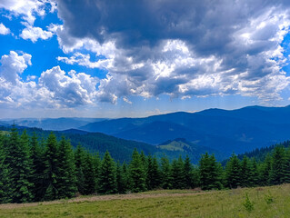 Fototapeta premium A grassy field with trees and mountains in the background