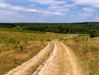 Fototapeta premium A dirt road in the middle of a grassy field