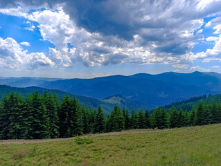 A grassy field with trees and mountains in the background