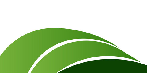 Abstract green curved banner background. vector illustration.