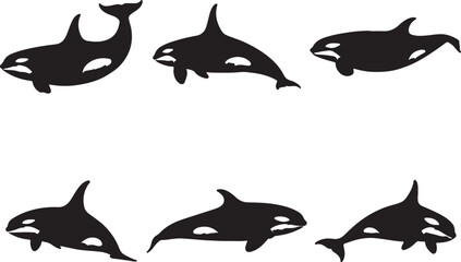 Orca Solid Vector Silhouette