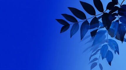 Dark blue leaves against bright blue gradient background branch nature