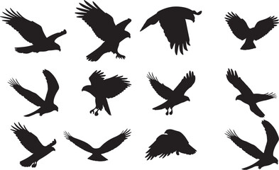Red-tailed Hawk Solid Vector Silhouette