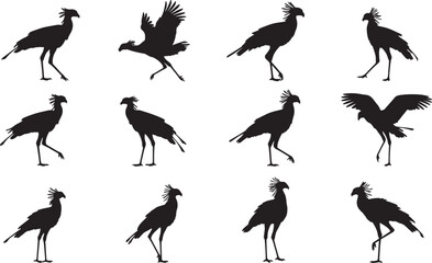 Secretary Bird Solid Vector Silhouette