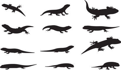 Skink Solid Vector Silhouette