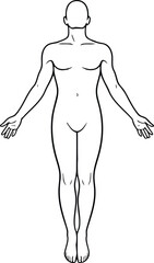 Human Body Outline Vector Illustration for Anatomy and Design Projects