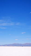 Voyage nature Argentine 2023