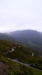 Voyage nature Argentine 2023