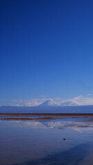 Voyage nature Argentine 2023