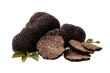Fresh black truffles with slices displayed on transparent background