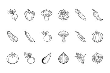 Collection line art illustrations various fresh vegetables beet bell