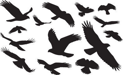 Obraz premium Swainson's Hawk Solid Vector Silhouette