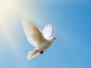 Fototapeta premium A White Dove Soaring Gracefully Through the Vast Expansive Blue Sky on a Bright Sunny Day Creating a Symbol of Peace and Hope