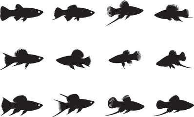 Swordtail Solid Vector Silhouette