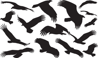 Obraz premium Turkey Vulture Solid Vector Silhouette