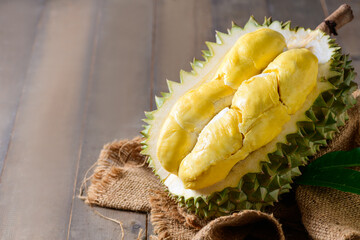 Ripe durian fruit or Durio zibethinus with yellow creamy pulp exposed, isolated on white background.
