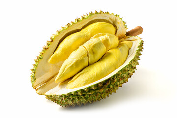 Ripe Durian Fruit or Monthong with Yellow Flesh Isolated on White Background.King of Fruits
