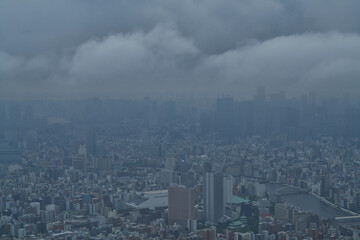鋼鉄の森 - 光を失った.孤独な巨人たち