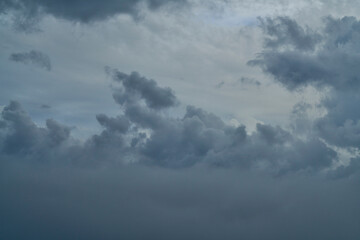 鋼鉄の森 - 光を失った.孤独な巨人たち