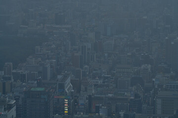 Fototapeta premium 鋼鉄の森 - 光を失った.孤独な巨人たち