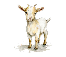 Fototapeta premium goat on white background